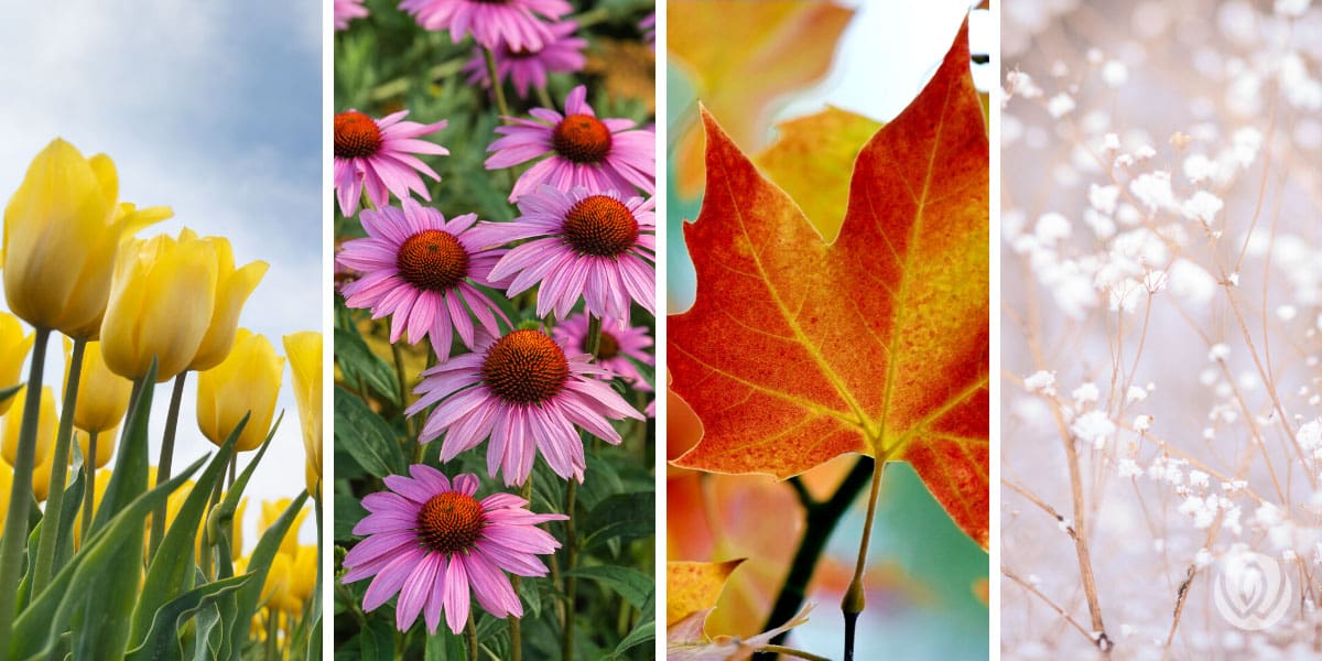 four-seasons-landscaping