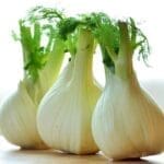 beneficial-Insects-fennel