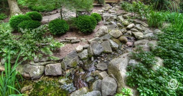 Rock garden with green plants on a grassy slope