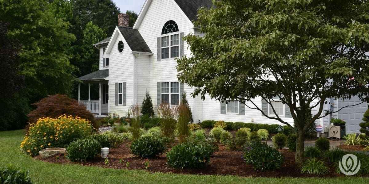 summer-landscaping-tips-trees-shrubs-lawn