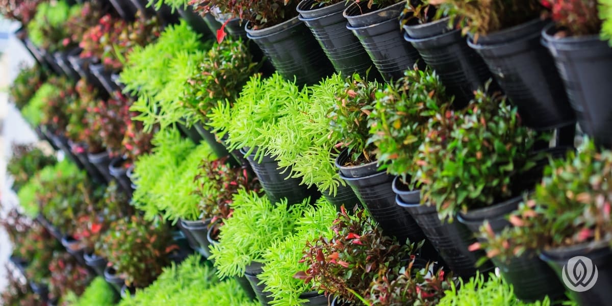 living-wall-outdoors