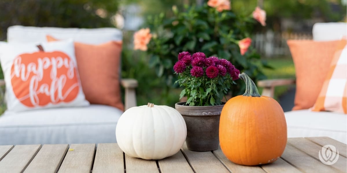 patio-d&eacute;cor-ideas