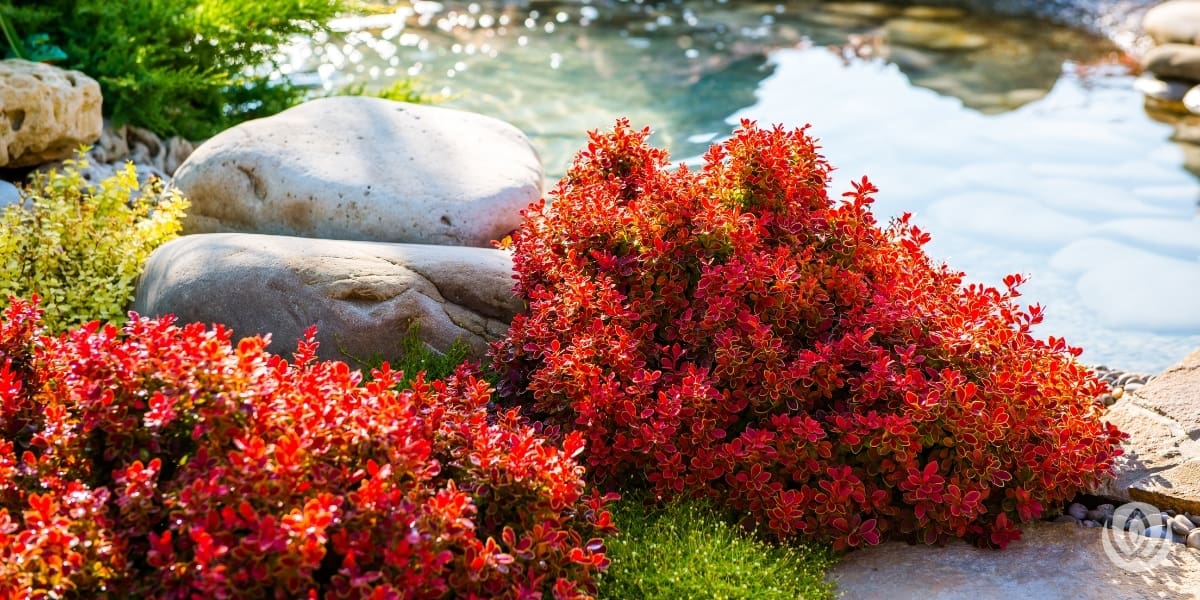 Landscape-Designers-Near-Me
