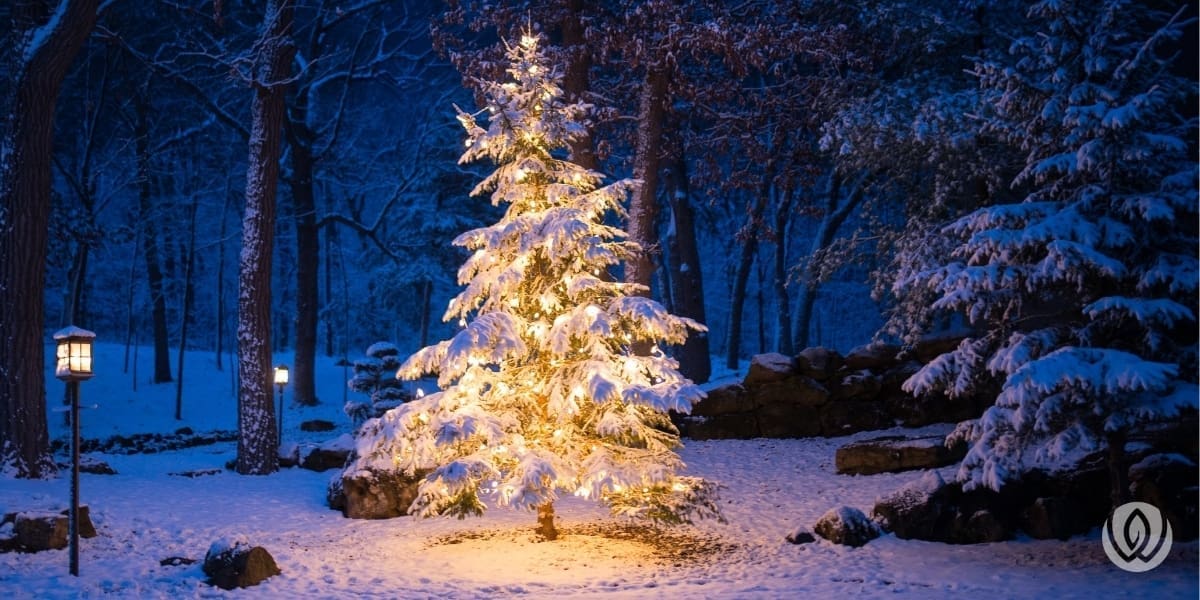 happy-holidays-from-livewell-outdoors