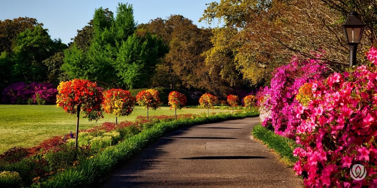 Seasonal Flowers