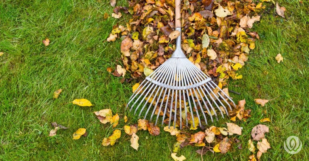 preparing garden for fall