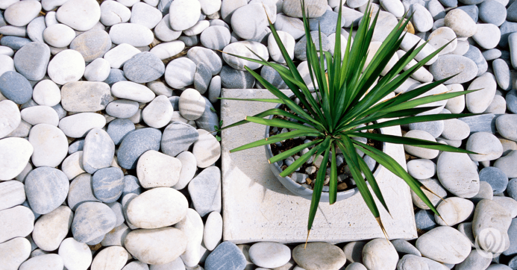rock bed landscaping