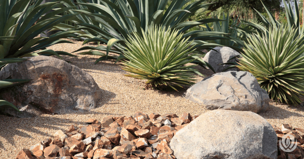 simple rock garden